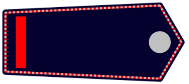 BM1