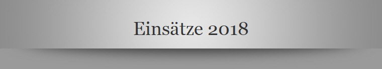 Einstze 2018