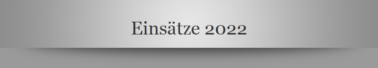 Einstze 2022