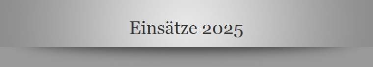 Eins�tze 2025